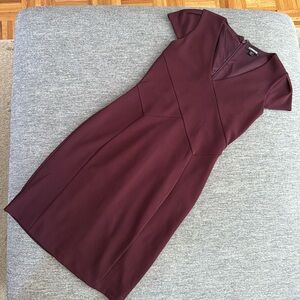 Express Maroon Dress
